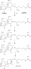 Fig. 5