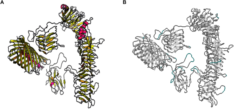 Fig. 1