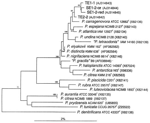 FIG. 4.