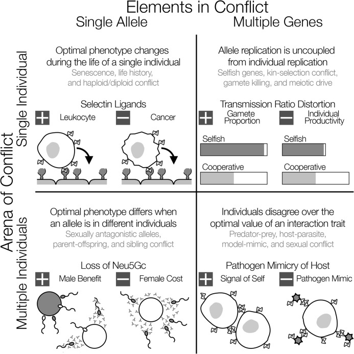 FIGURE 1.