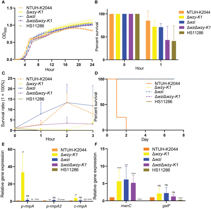 Figure 3