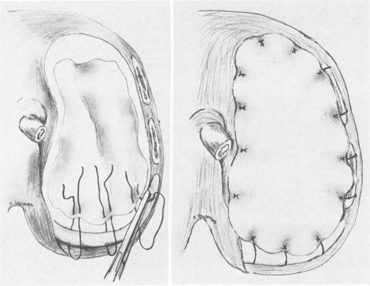 Fig. 1a and b.