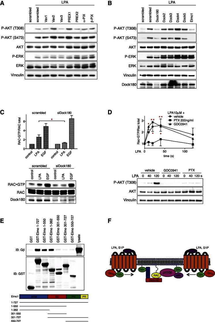 Figure 6