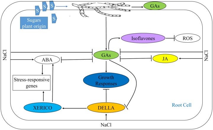 FIGURE 10