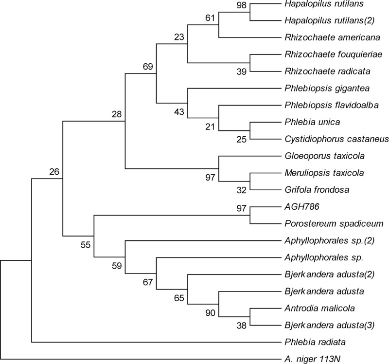 FIGURE 2