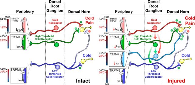 Figure 12.