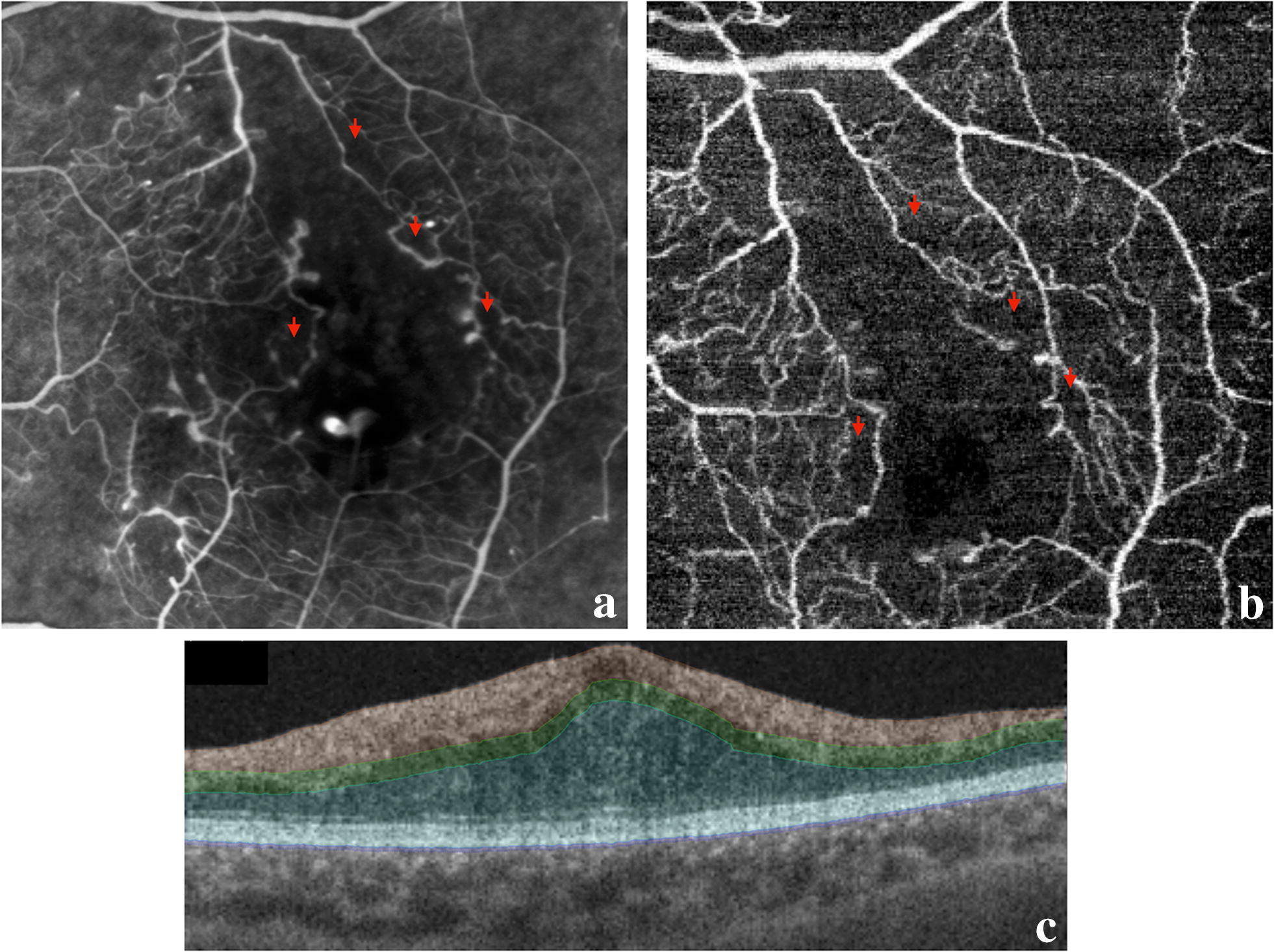 Fig. 3