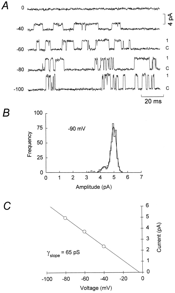 Fig. 5.