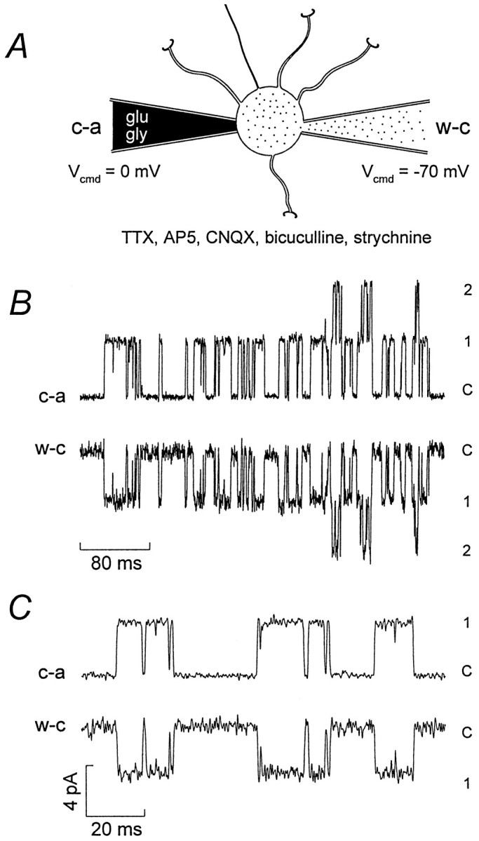 Fig. 4.