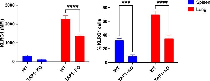 Figure 5