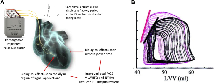 Figure 5