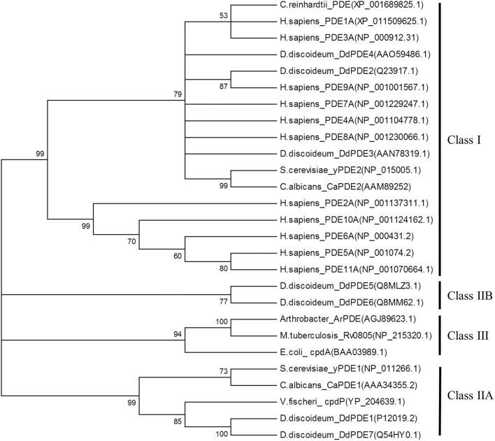 FIGURE 2