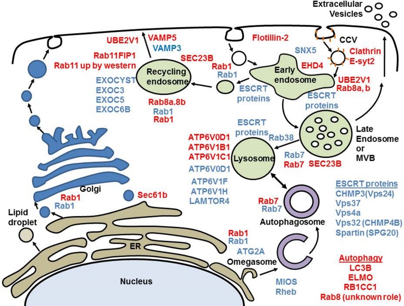 FIG 6 