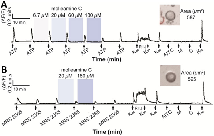 Figure 6.