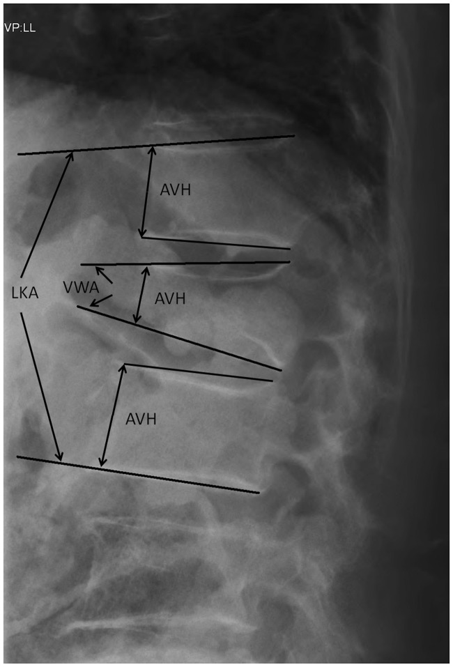 Figure 2.