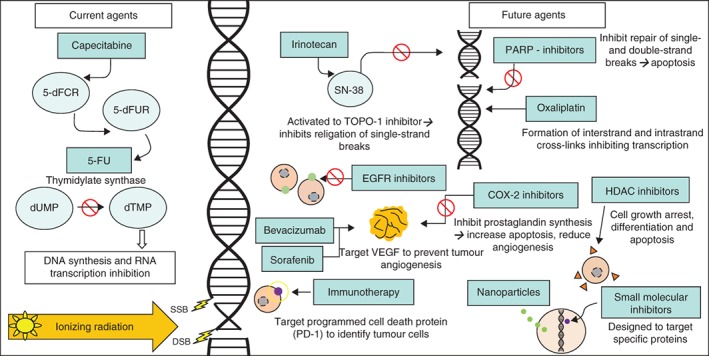 BJS-10993-FIG-0001-c