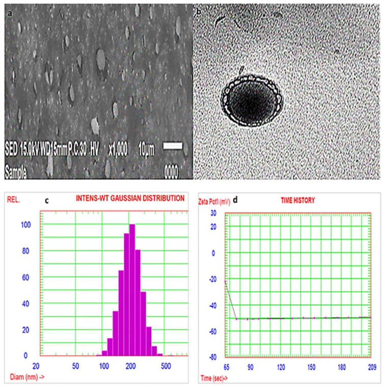 Figure 10