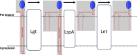 Fig 1