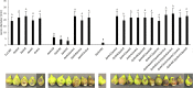 FIG 5