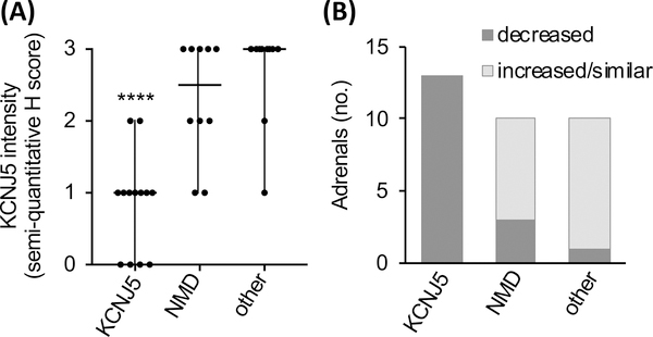 Figure 5: