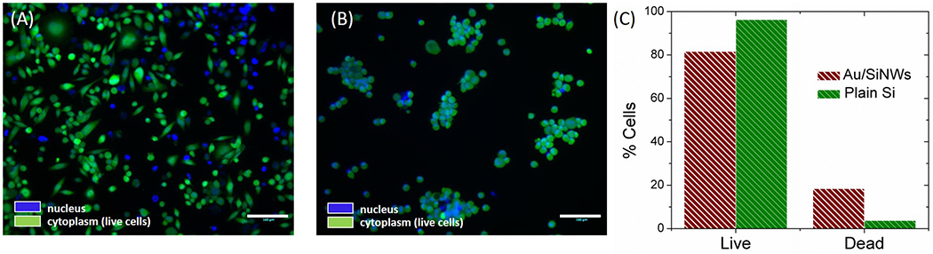 Figure 5.