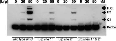 FIG. 3.