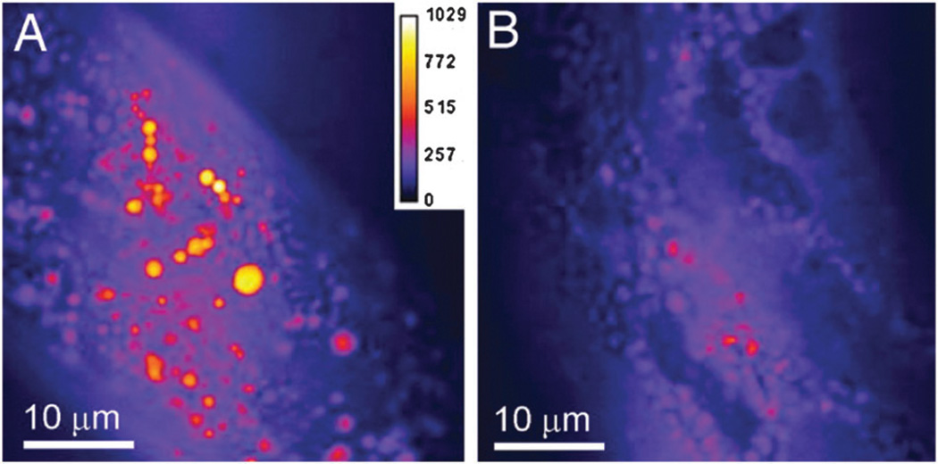 Fig. 12