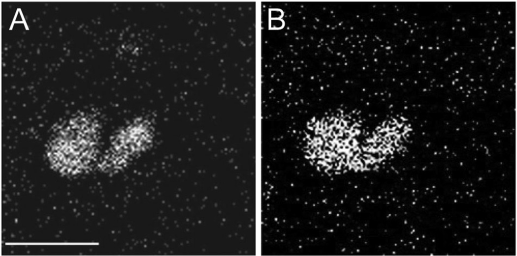 Fig. 11