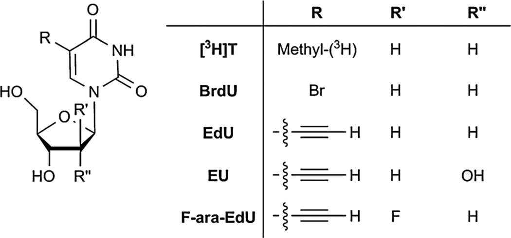 Fig. 10