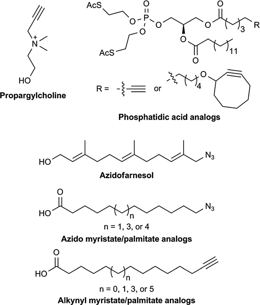 Fig. 9