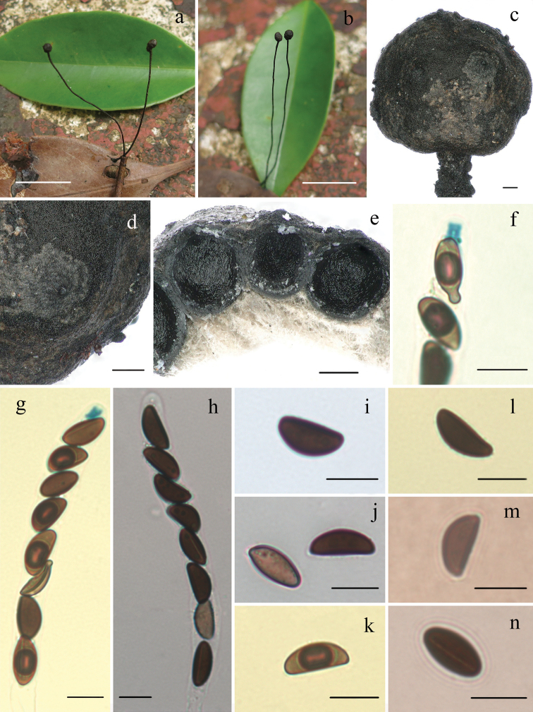 Figure 3.