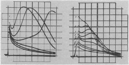 graphic file with name pnas00095-0115-a.jpg