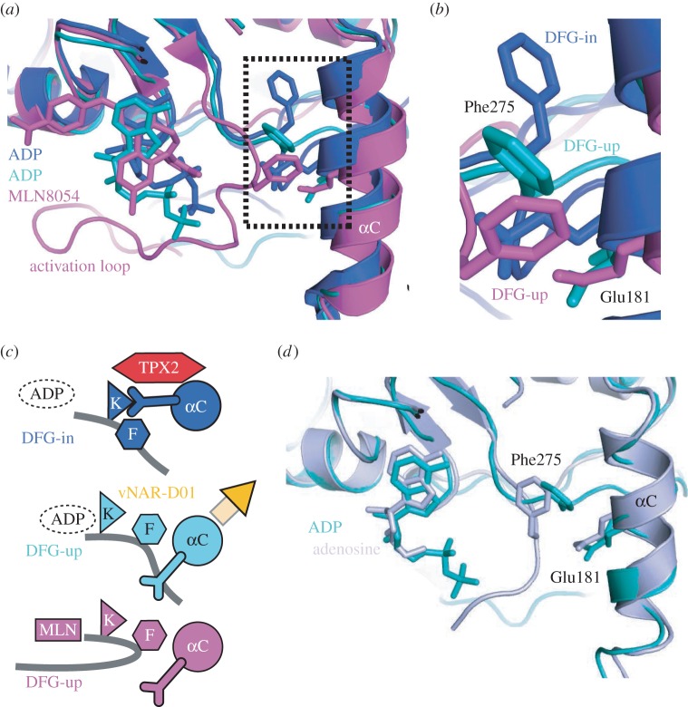 Figure 5.