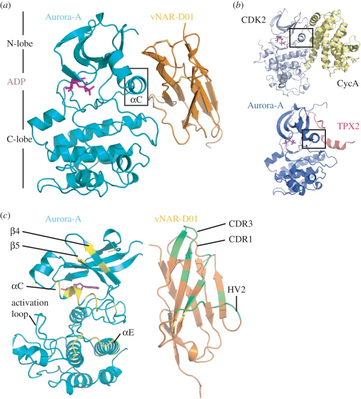 Figure 2.