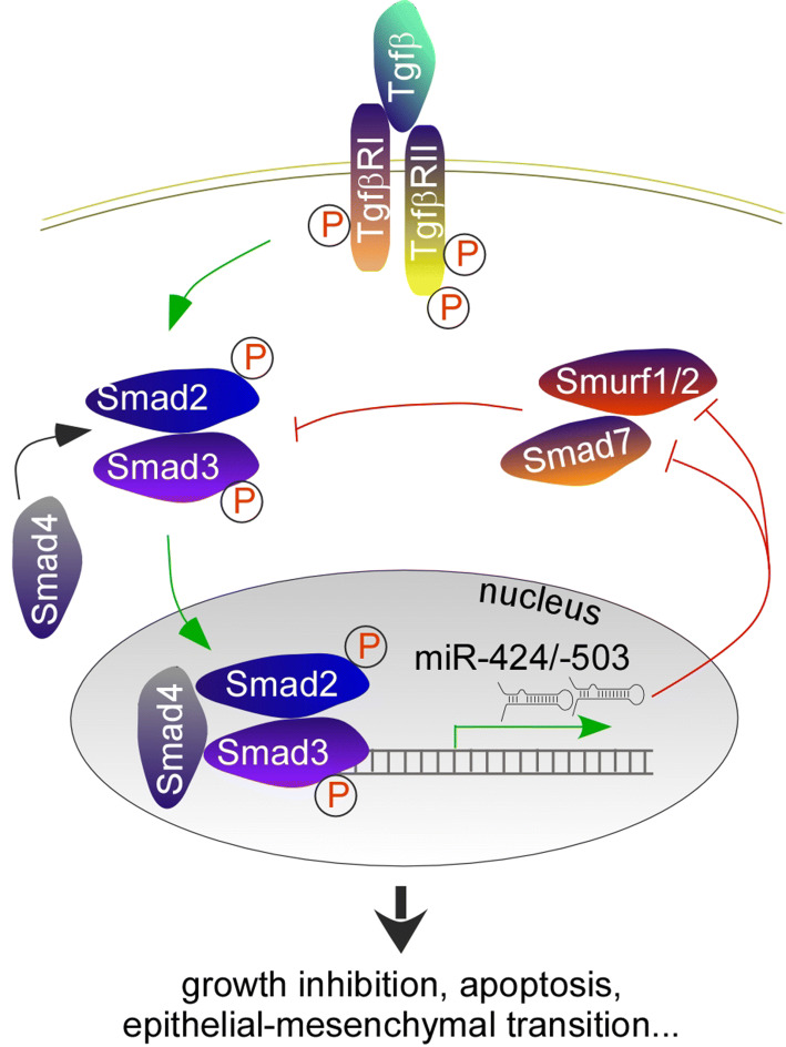 Fig. 4