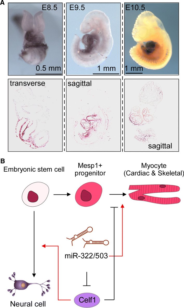 Fig. 3