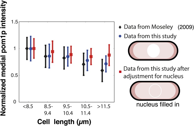 Figure 1—figure supplement 2.