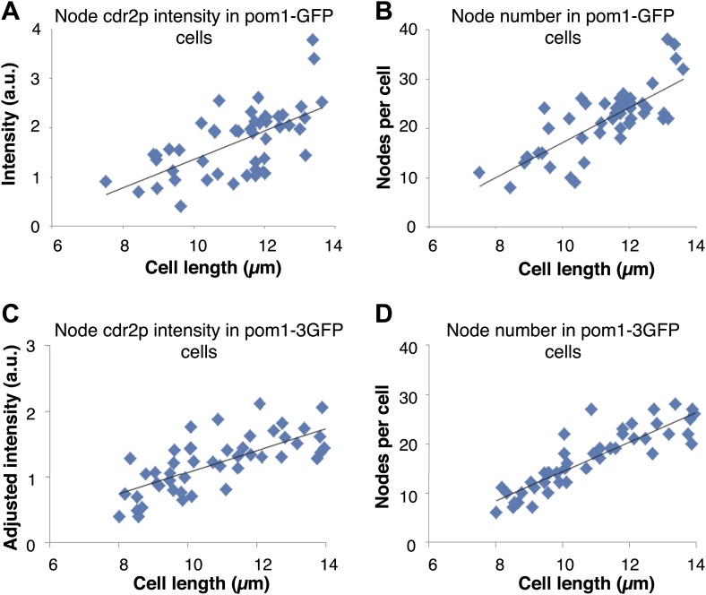 Figure 1—figure supplement 5.