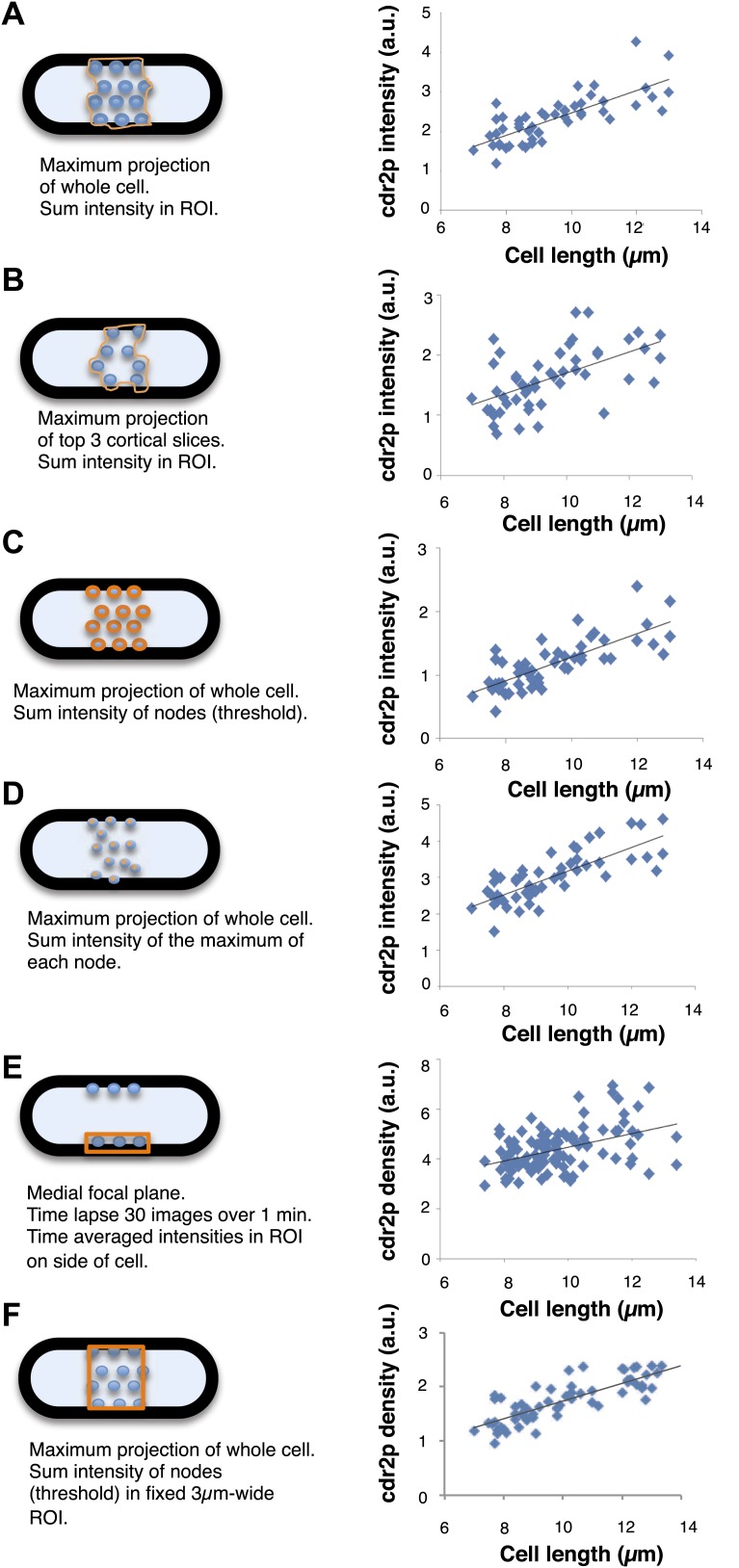 Figure 2—figure supplement 3.