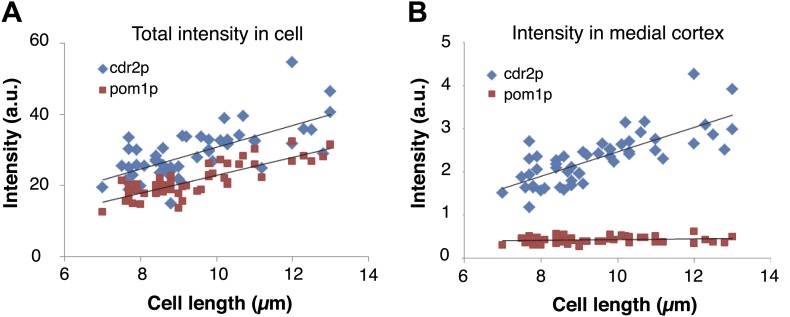 Figure 2—figure supplement 2.