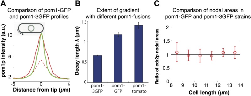 Figure 1—figure supplement 4.