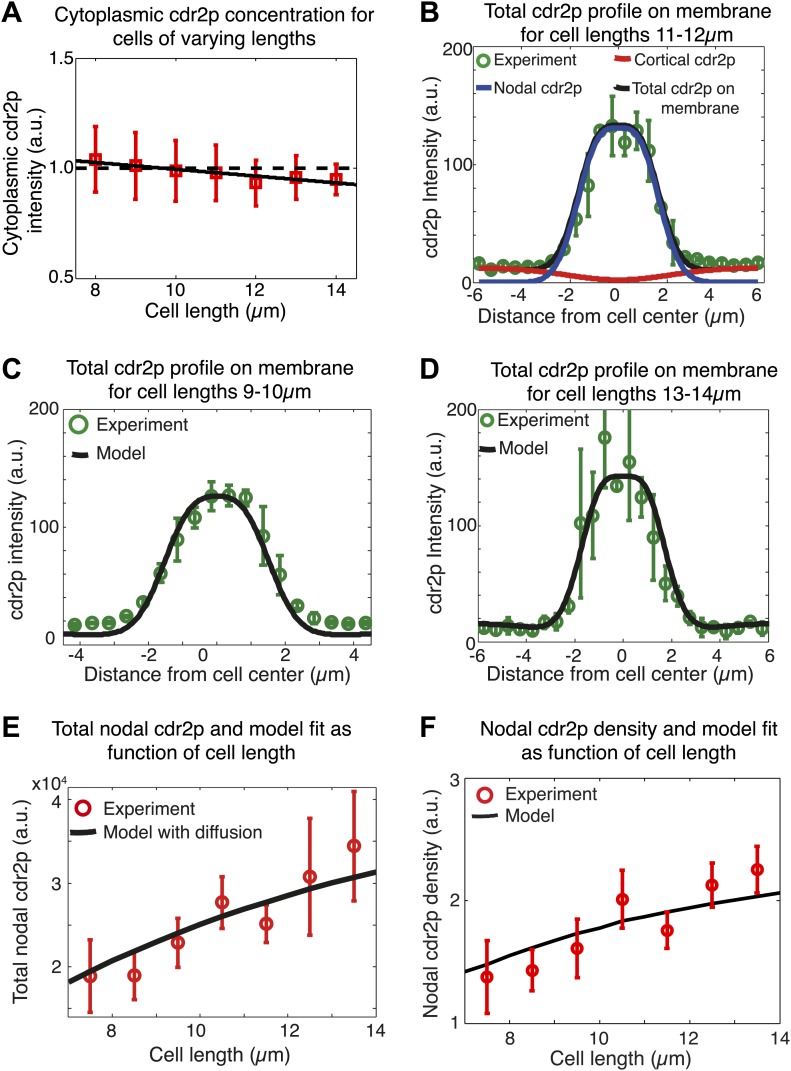 Figure 5—figure supplement 1.