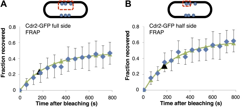 Figure 2—figure supplement 4.