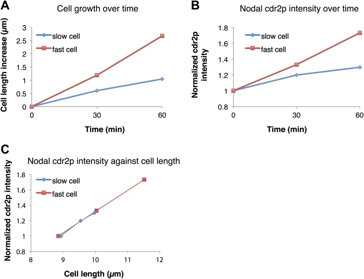 Figure 4—figure supplement 1.