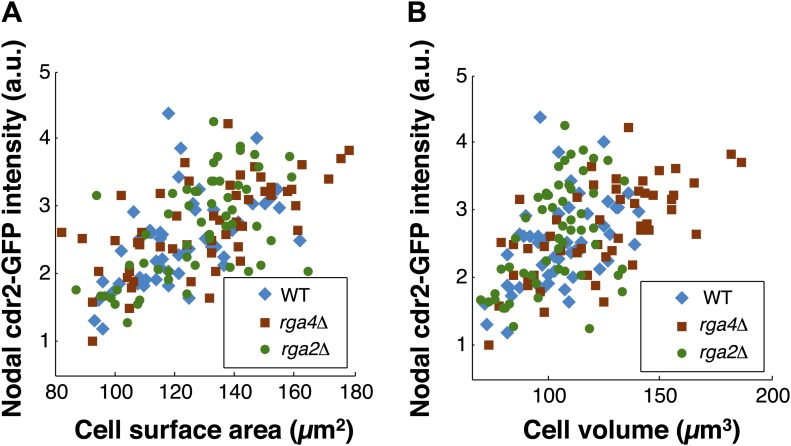 Figure 6—figure supplement 1.