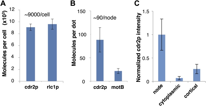 Figure 2—figure supplement 1.