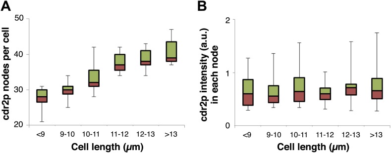 Figure 2—figure supplement 5.