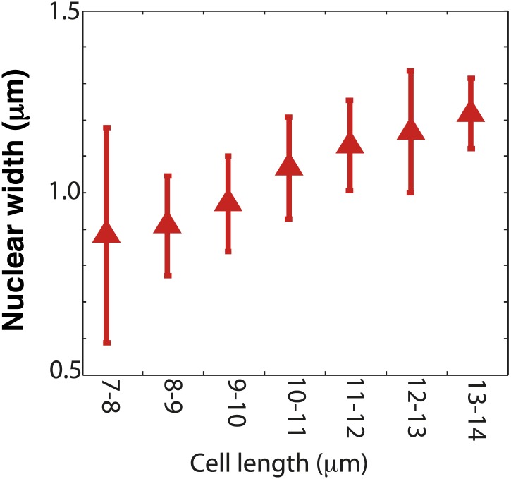 Figure 1—figure supplement 3.