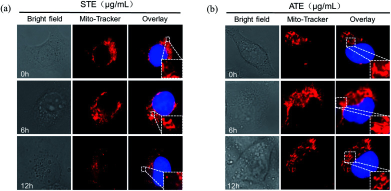 Fig. 10