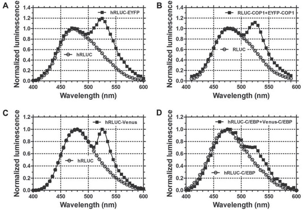 Fig. 1.2